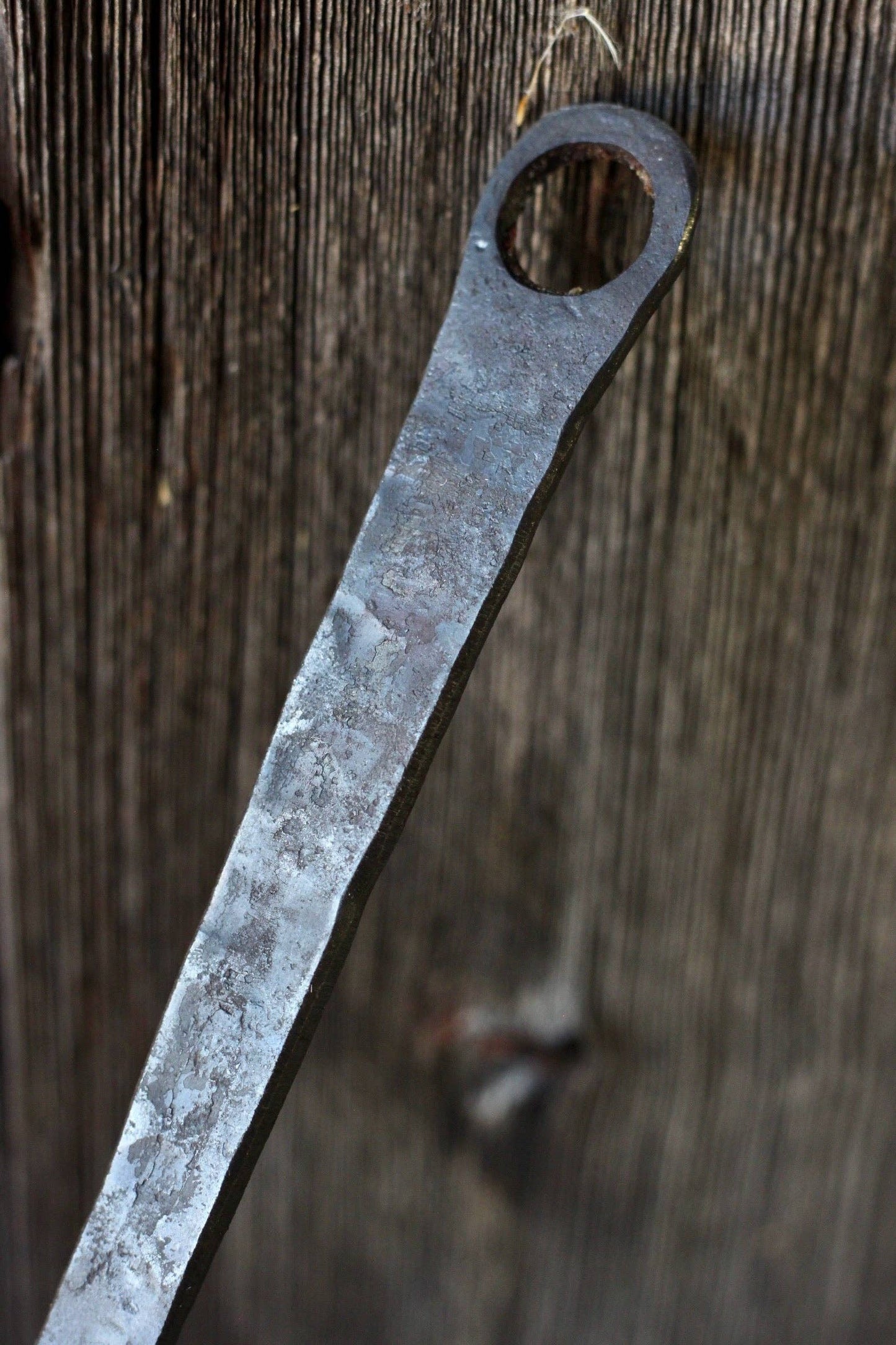 Fish Spatula - Crystal Conner Design