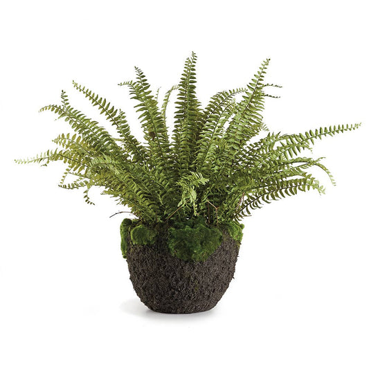 Grand Boston Fern Drop-In 30" - Crystal Conner Design