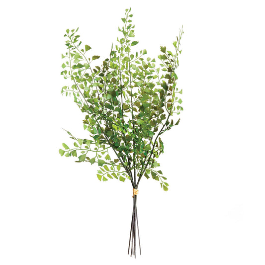 Maidenhair Fern Stems, Bundle Of 7 - Crystal Conner Design